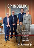 CP INDBLIK 2-2020