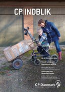 CP INDBLIK 6-2020