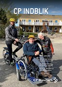 CP INDBLIK 3-21