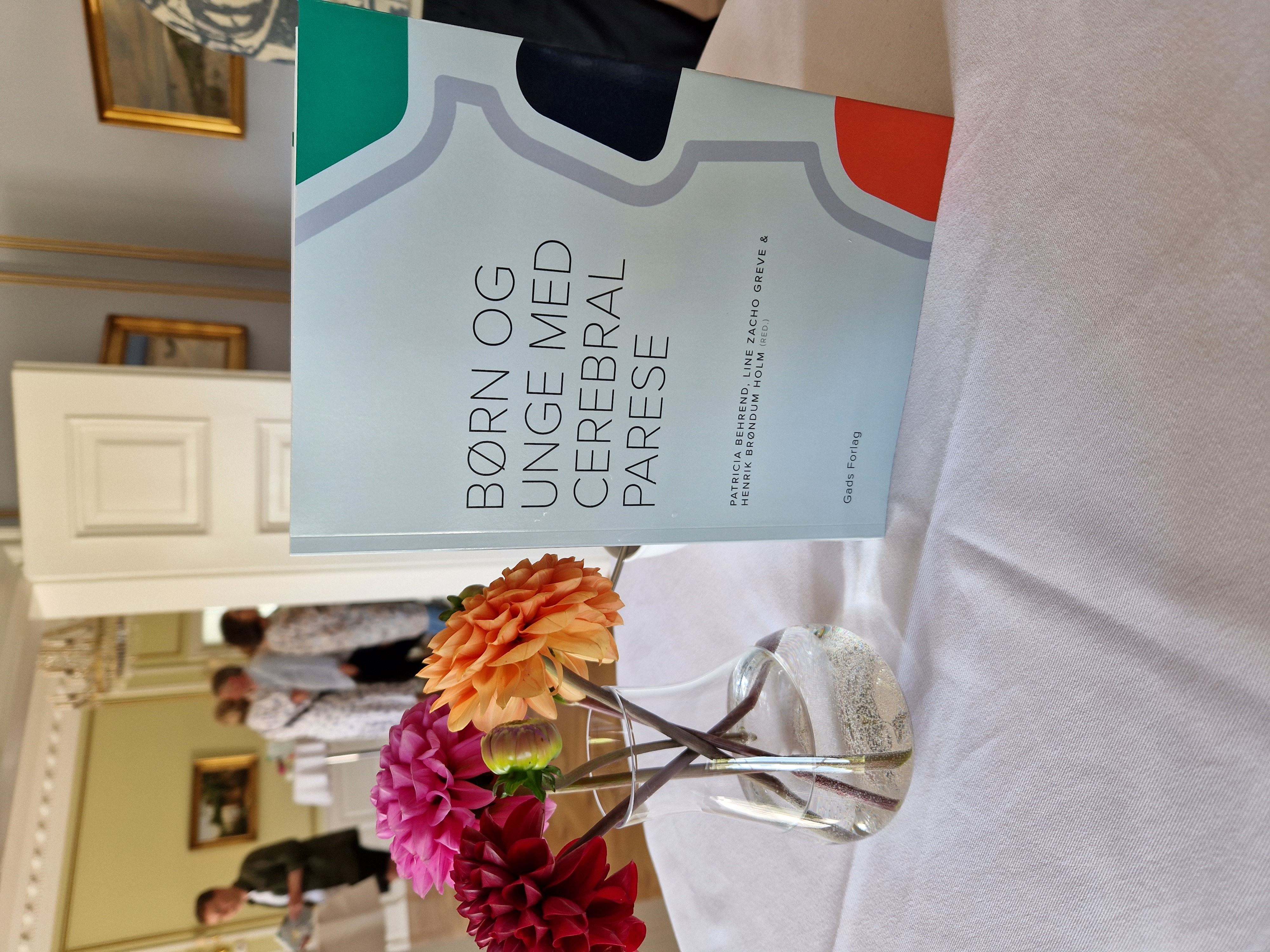 Ny fagbog om børn og unge med cerebral parese