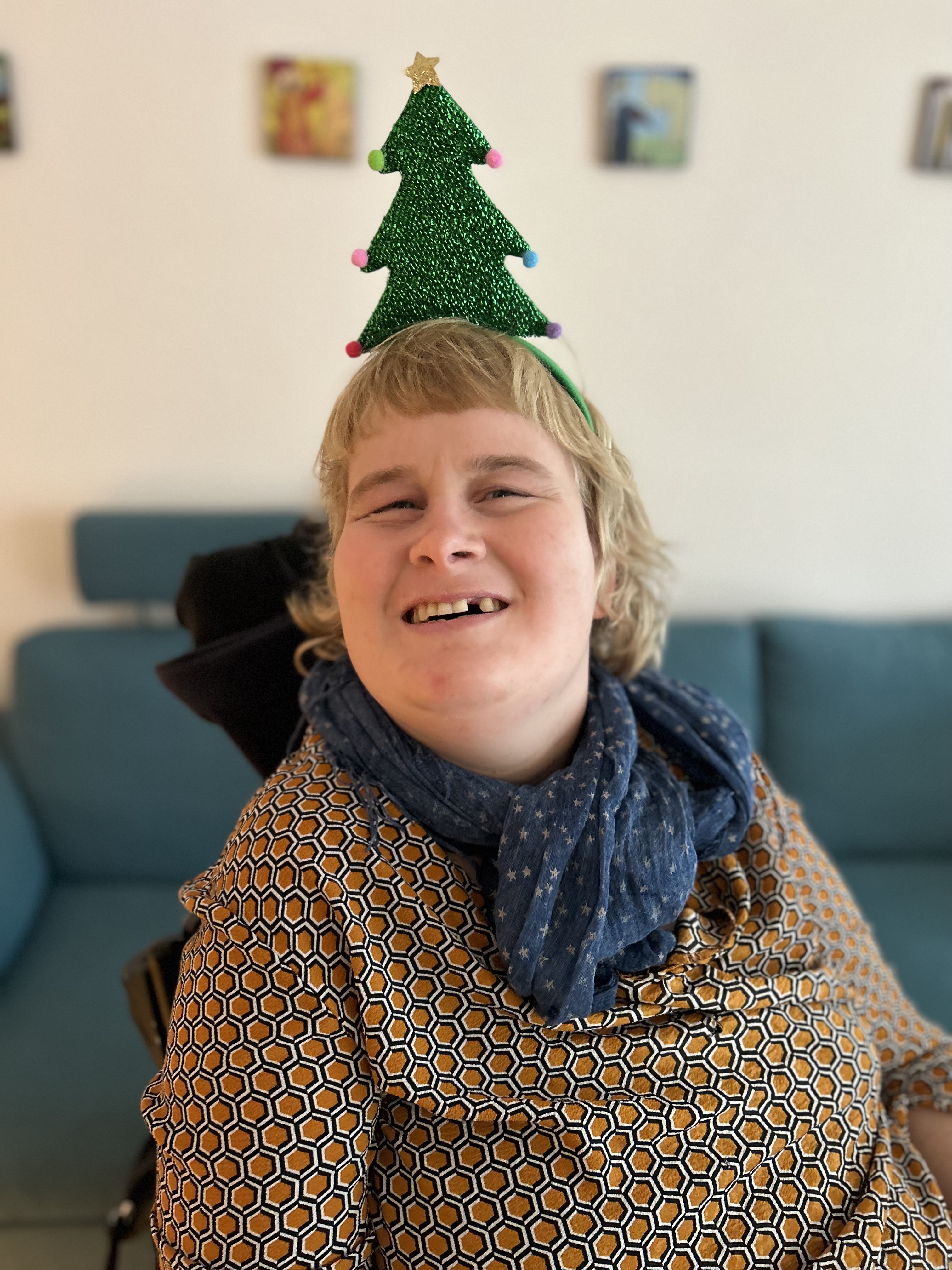 Vibekes julekalender