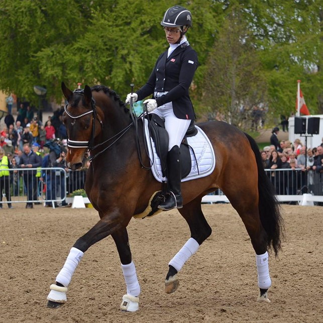 15. September - Foredrag med kendt pararytter