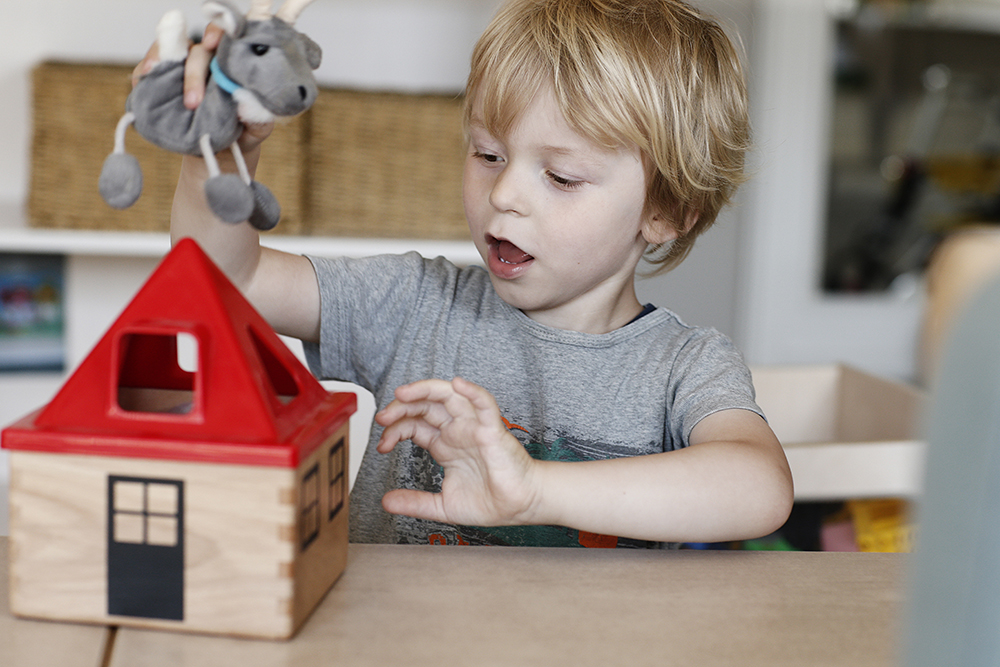 Politiske mærkesager